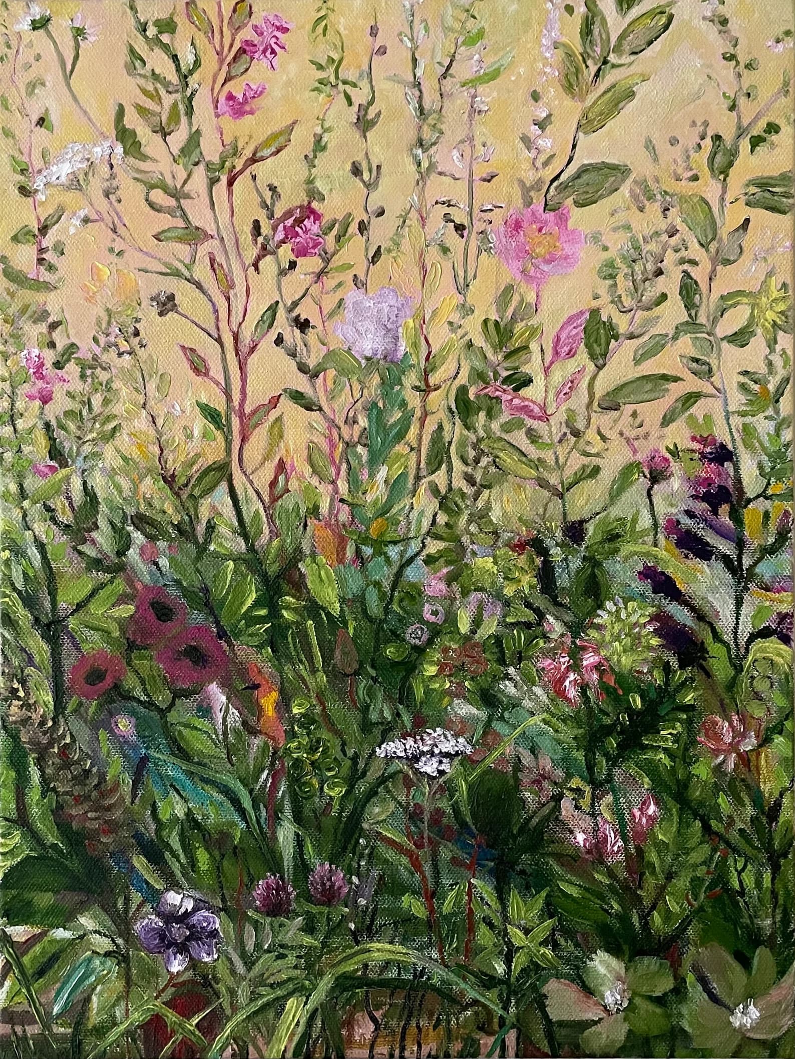 Wildflowers Meadow